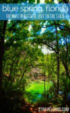 Blue Spring State Park in Florida is perfect for a family vacation full of camping, swimming and photography. In winter months more than 400 manatees will migrate here for the warm water. 2traveldads.com
