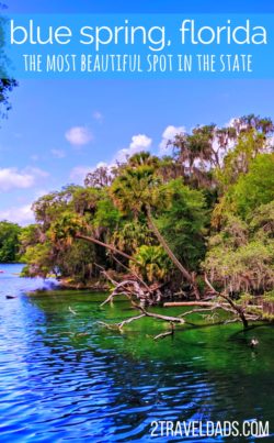 Blue Spring State Park in Florida is perfect for a family vacation full of camping, swimming and photography. In winter months more than 400 manatees will migrate here for the warm water. 2traveldads.com