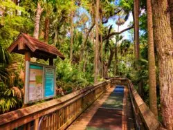 Boardwalk hiking at Blue Spring State Park Daytona Beach 2