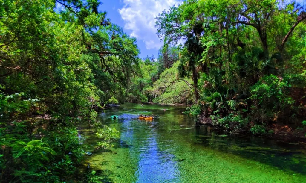 Crystal clear water at Blue Spring State Park Daytona Beach 11