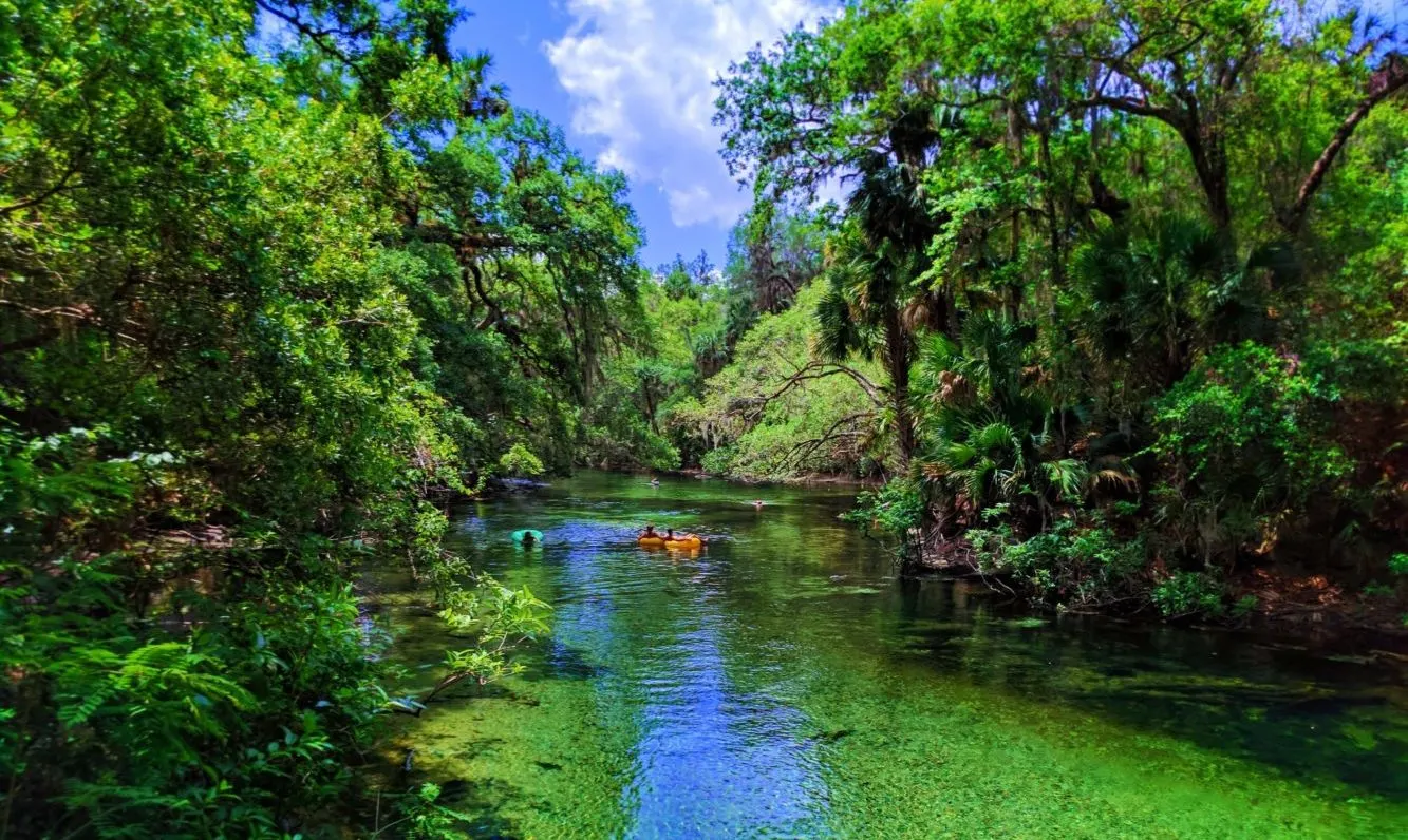 Orlando Blue Springs State Park