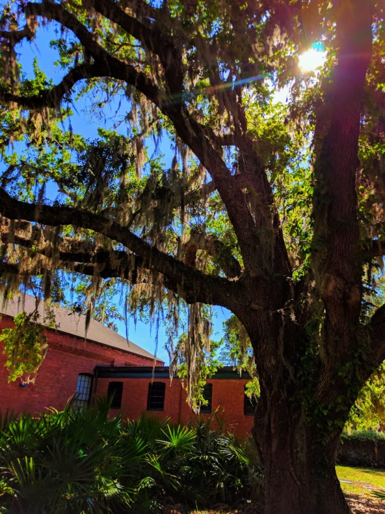 Exterior of Georgia Sea Turtle Center Jekyll Island Golden Isles Georgia 2