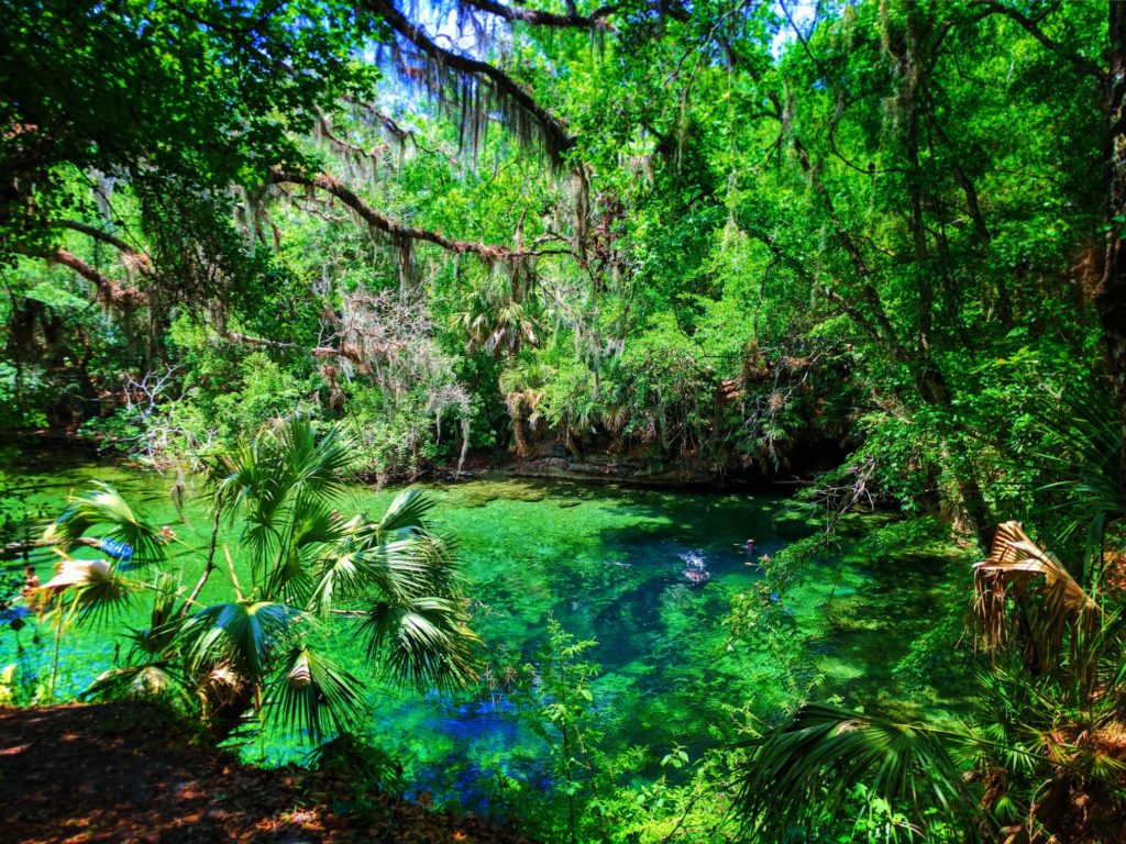 Blue Springs State Park: the most beautiful spot in Florida