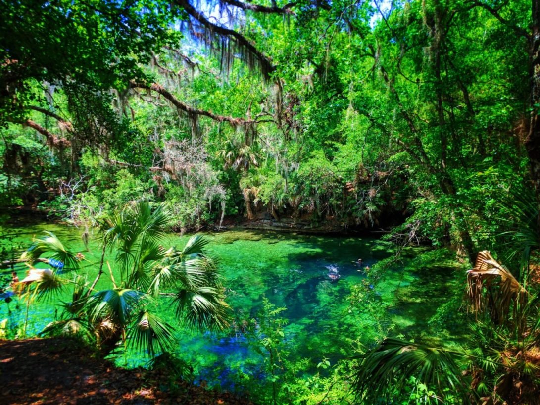 Blue Springs State Park the most beautiful spot in Florida