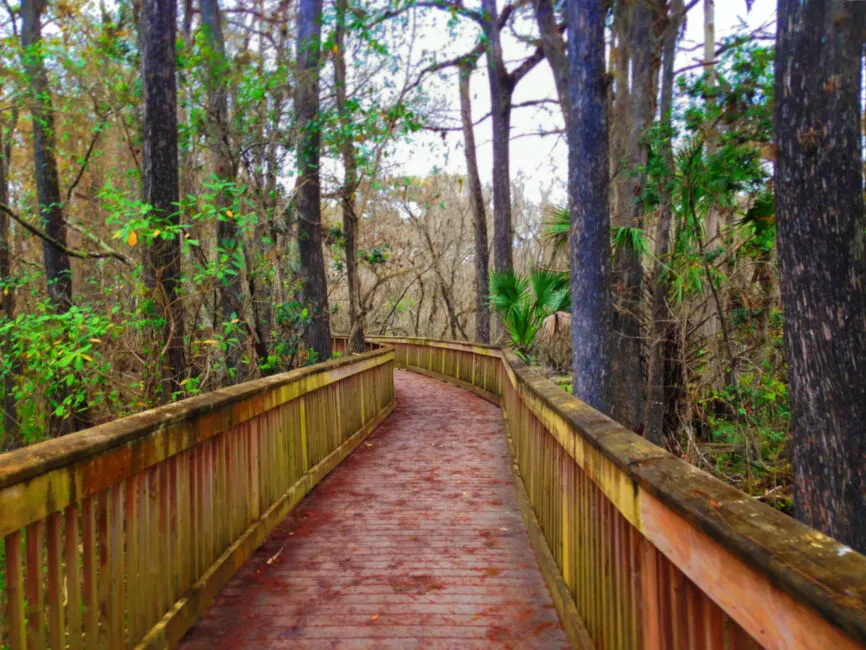 Kirby Storter Big Cypress National Preserve from Flickr cc Florida Hikes 2