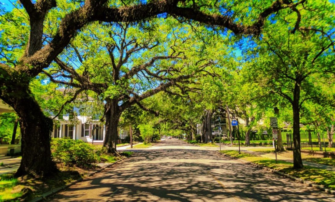 Mobile, Alabama: top 5 ways to celebrate a surprising gem of a city