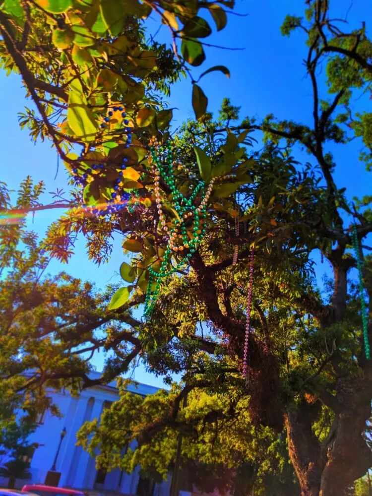 Mardi Gras beads and Historic Home in Mobile Alabama historic distric 1