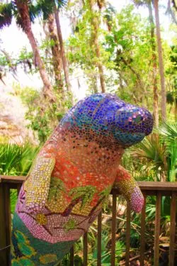 Mosaic Manatee at Blue Spring State Park Daytona Beach 1