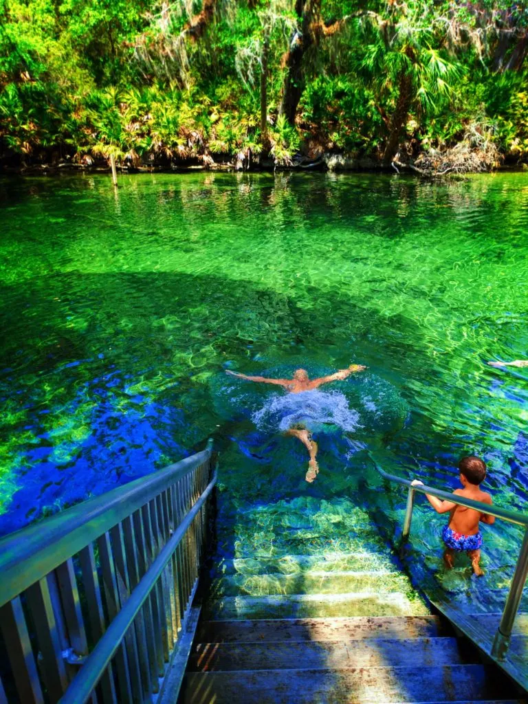 Rob Taylor swimming at Blue Spring State Park Daytona Beach 4