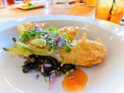 Stuffed Squash Blossoms at Noble South restaurant Mobile Alabama 1