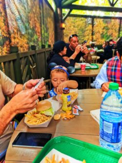 Taylor Family dining at Hungry Bear Cafe Critter Country Disneyland 1