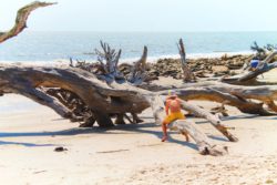 Taylor Family exploring Driftwood Beach Jekyll Island Golden Isles 10