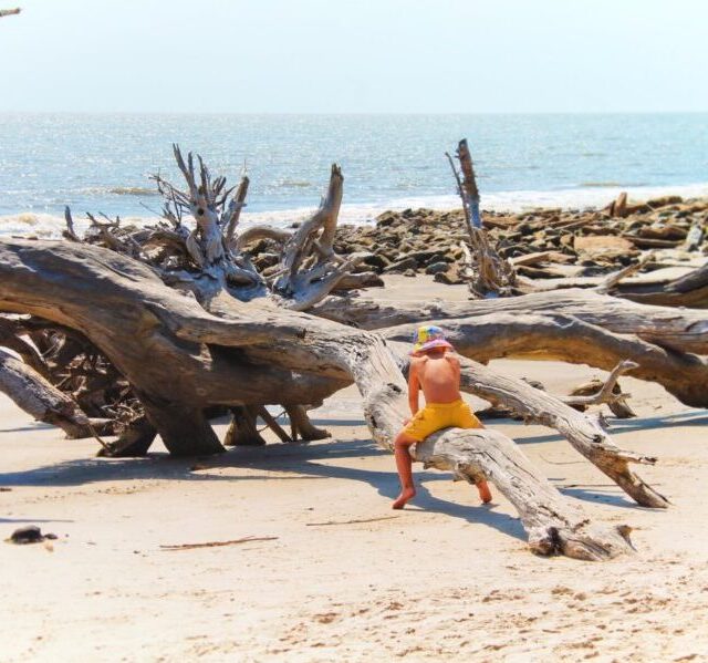 Taylor Family exploring Driftwood Beach Jekyll Island Golden Isles 10
