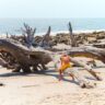 Taylor Family exploring Driftwood Beach Jekyll Island Golden Isles 10