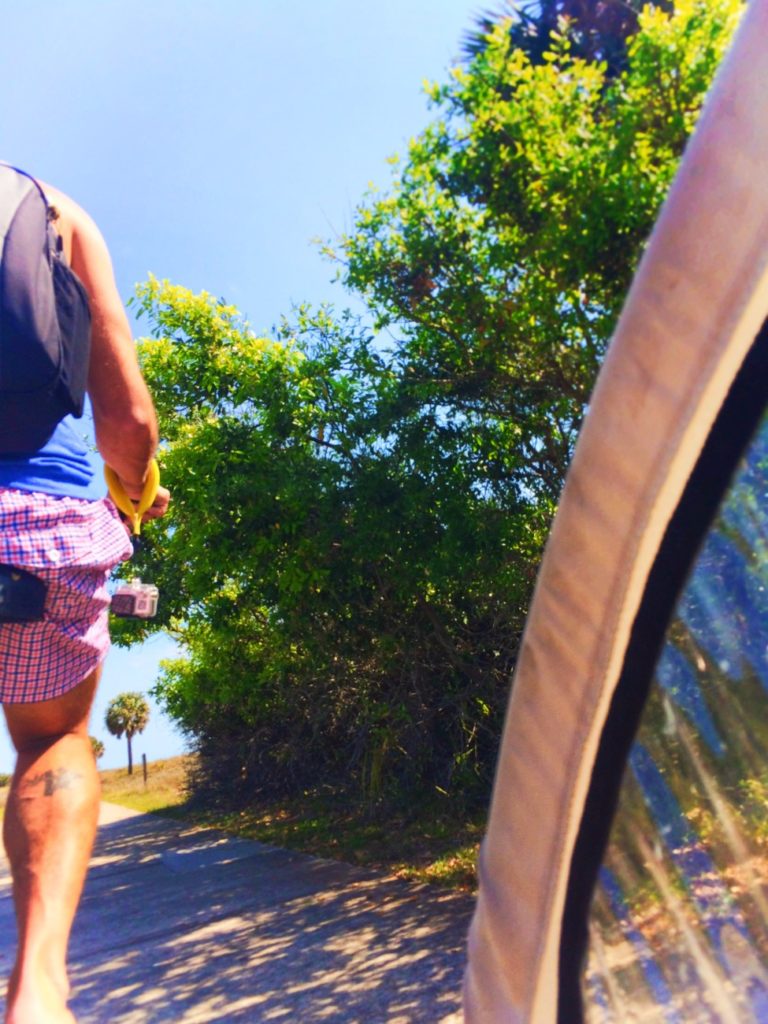 View from kid trailer biking Jekyll Island Golden Isles 1