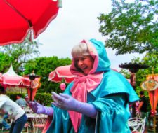 Fairy-Godmother-at-Plaza-Inn-Character-Dining-Main-Street-USA-Disneyland-1-225x190.jpg
