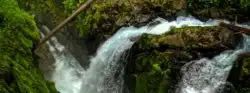 Hiking at Sol Duc Falls in Olympic National Park is a must-see on the Olympic Peninsula of Washington. Rainforest and mossy canyons make this lush destination perfectly PNW. 2traveldads.com