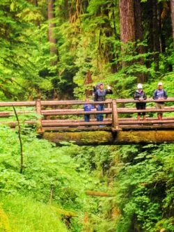 Mossy gorge and waterfalls in Rainforest Sol Duc Falls Olympic National Park 11