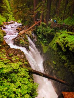 Mossy gorge and waterfalls in Rainforest Sol Duc Falls Olympic National Park 2