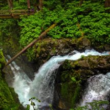 Mossy gorge and waterfalls in Rainforest Sol Duc Falls Olympic National Park 9