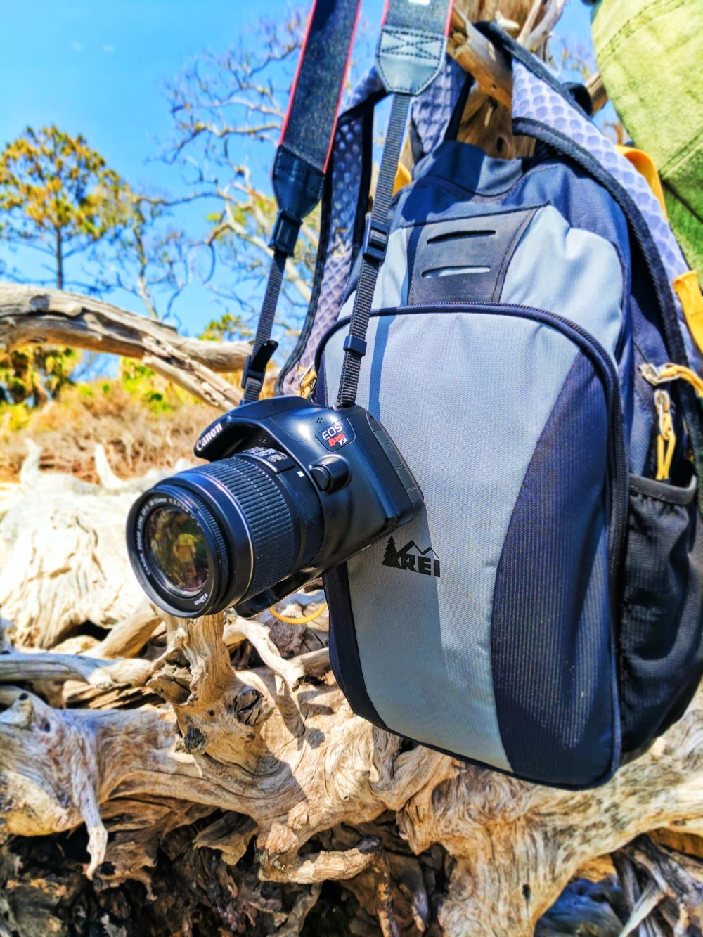 REI laptop backpack at Driftwood Beach Jekyll Island Golden Isles 1