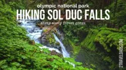 Hiking at Sol Duc Falls in Olympic National Park is a must-see on the Olympic Peninsula of Washington. Rainforest and mossy canyons make this lush destination perfectly PNW. 2traveldads.com