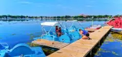 Taylor Family Paddleboating on Like Monona Madison Wisconsin 1