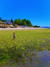 Taylor Family at Beach low tide in Suquamish 1