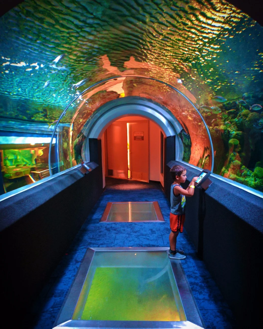 Taylor Family at Discovery World Aquarium Milwaukee Wisconsin 1