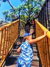 Taylor Family climbing Tarzans Treehouse Adventureland Disneyland 1
