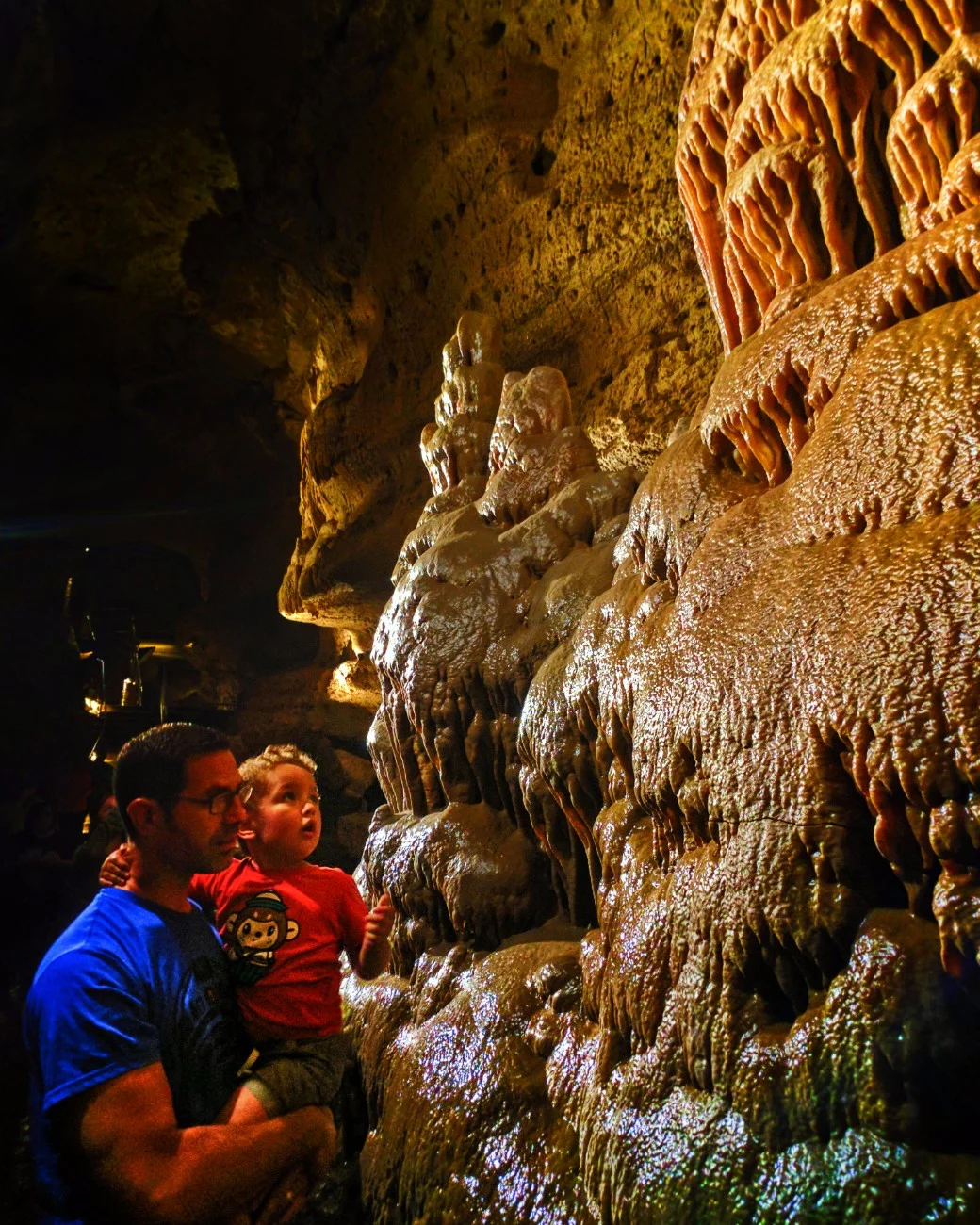 Taylor Family in Cave of the Mounds Mt Horeb Wisconsin 1