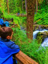 Taylor family at waterfalls in Rainforest Sol Duc Falls Olympic National Park 1