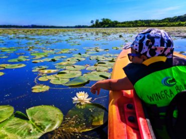 Lake Wingra Looks So Pretty On 8 Bit >> Our First Wisconsin Family Trip And Now Let S Get Back There Lake Wingra Looks So Pretty On 8 Bit >> Our First Wisconsin Family Trip And Now Let S Get Back There