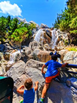 Taylor kids climbing waterfall at Grizzley Peak Disneys California Adventure 1