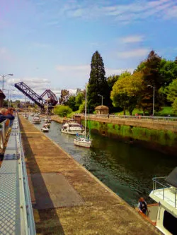 Ballard Locks Seattle 3