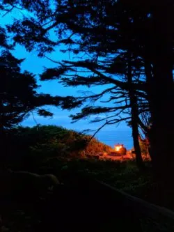 Campfire in oceanside campsite Kalaloch campground Olympic National Park 1