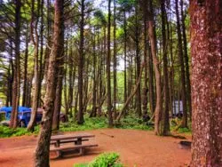 Campground at Kalaloch Olympic National Park 1