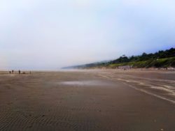 Fog rising on beach at Kalaloch campground Olympic National Park 3