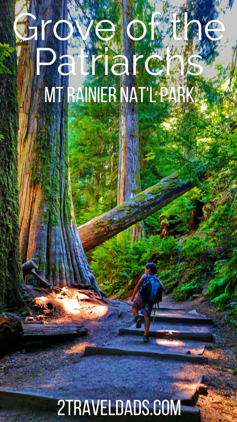 Hiking the old growth forest of Mt Rainier National Park, the Grove of the Patriarchs is a beautiful retreat from the crowds higher up on the mountain. Opportunities for learning and relaxation abound among these towering trees. 2traveldads.com