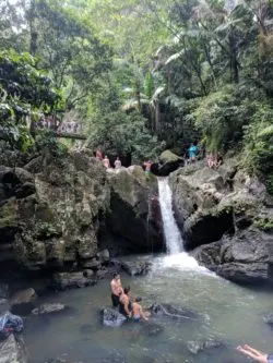 Mina Falls in El Yunque National Forest Puerto Rico