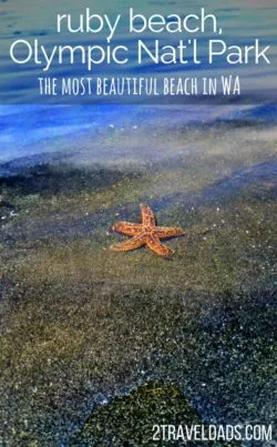 Ruby Beach in Olympic National Park is the most beautiful beach in Washington, with soft sand, tide pools, driftwood and more. 2traveldads.com