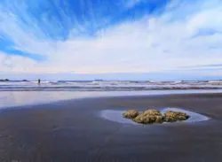 Sandy stretch at Ruby Beach Olympic National Park 2