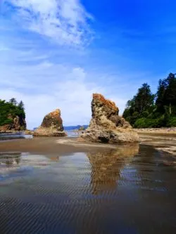 Sea Stack at Ruby Beach Olympic National Park 3