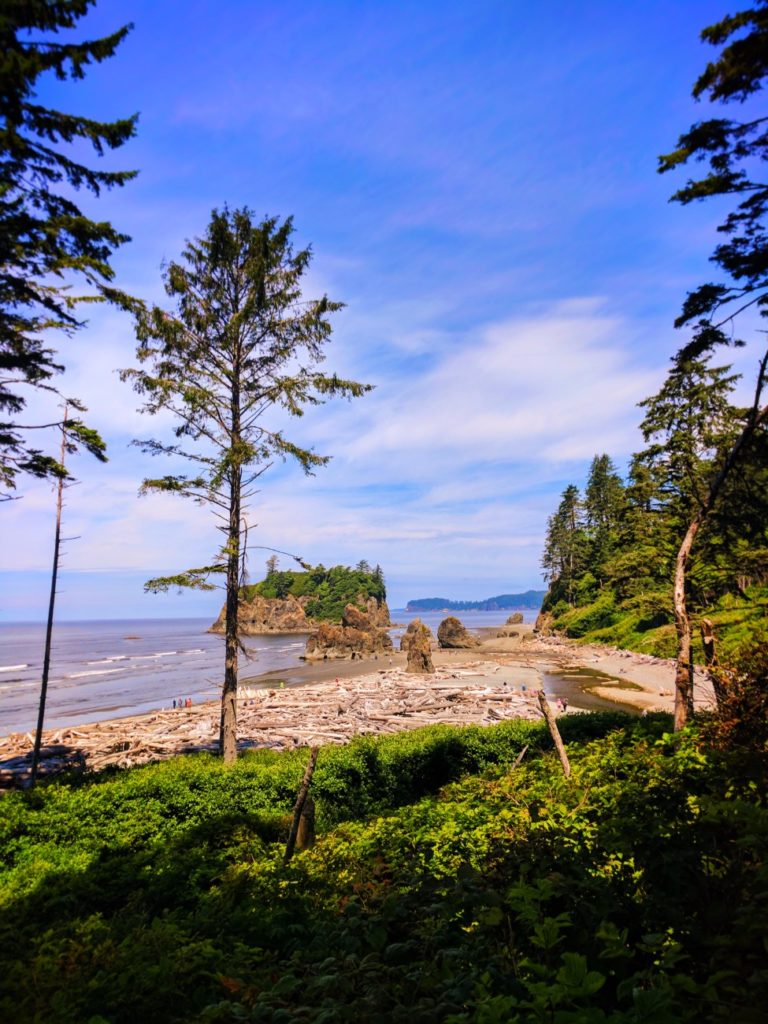 View of Ruby Beach Olympic National Park 1