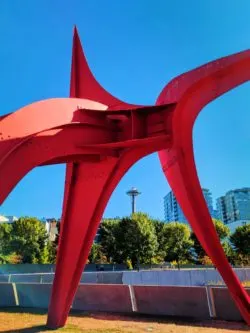 View of Space Needle from Olympic Sculpture Park Seattle 1