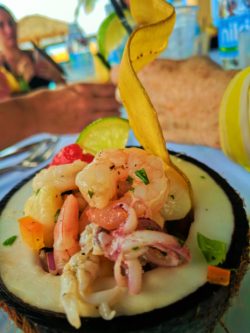 Ceviche lunch on beach at Isla Palomino El Conquistador Resort Puerto Rico 1