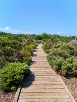 Dunes Boardwalk at Oso Flaco Lake Nature Preserve Nipomo 2