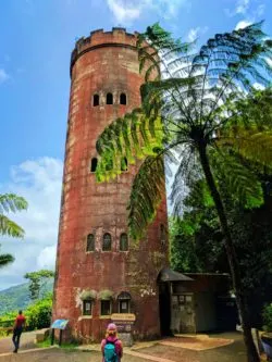 Historic Yokahu tower in Rainforest El Yunque National Forest Puerto Rico 5