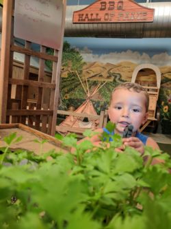 Taylor Family at Santa Maria Discovey Museum 2