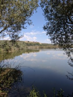 Pond at Oso Flaco State Park Santa Maria Valley